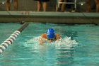 Swimming vs Bentley  Wheaton College Swimming & Diving vs Bentley College. - Photo by Keith Nordstrom : Wheaton, Swimming & Diving